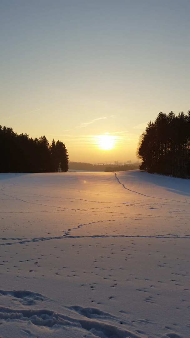 Spuren im Schnee